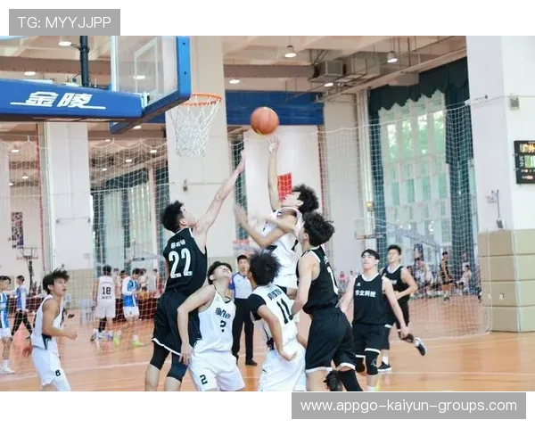 篮球项目在中国民办高校中的发展状况，2020年篮球特色学校